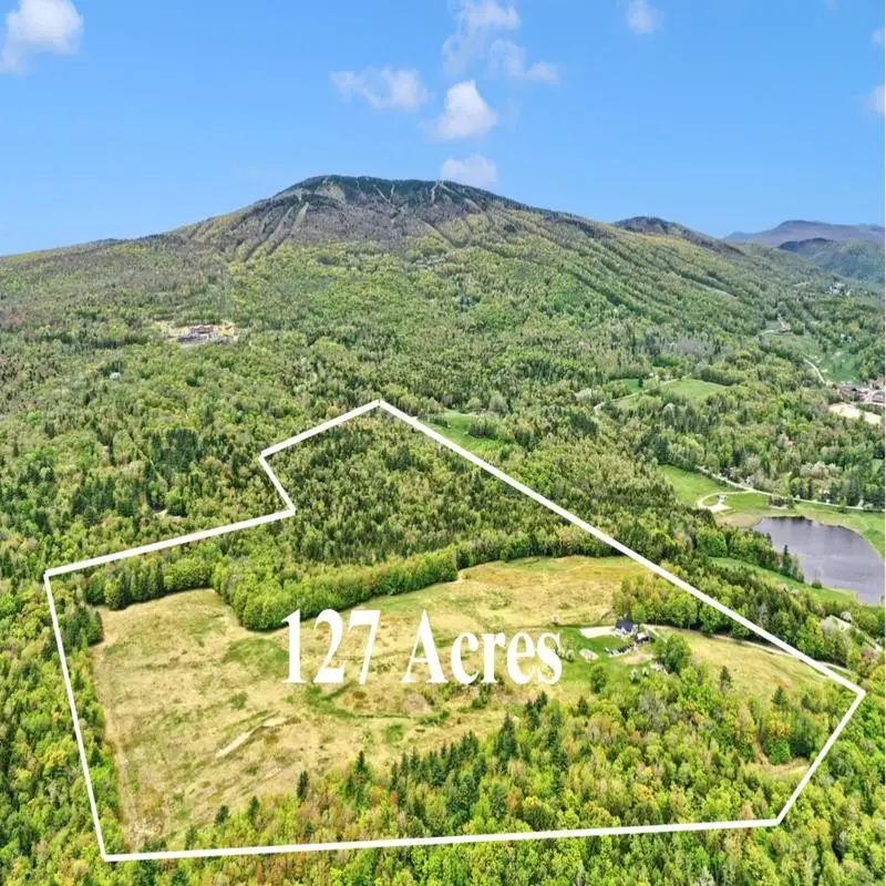 85 Pallottas Hill, Ludlow, VT 05149 - Image #2