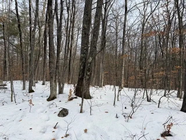 19 West Bergamo Road, Madison, NH 03849 - Image #1