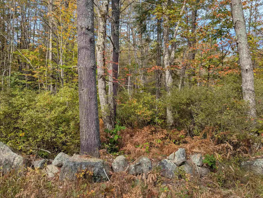 113 Jones Road, Effingham, NH 03882 - Image #3