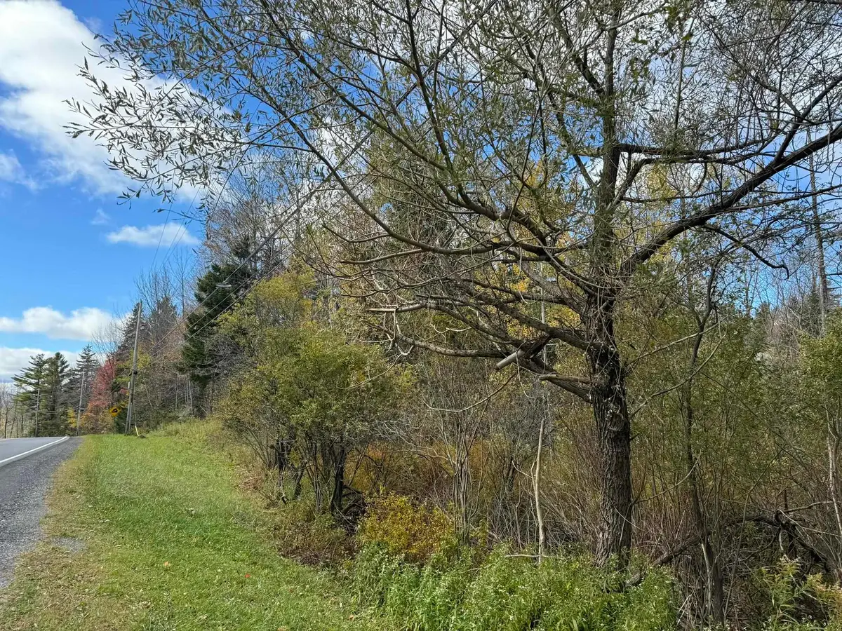 298 Dover Hill Road, Dover, VT 05356 - Image #1