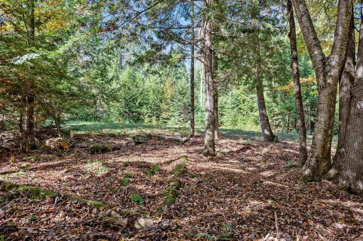 442 VT Route 12, Middlesex, VT 05602 - Image #1