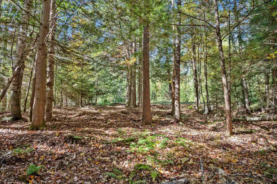 442 VT Route 12, Middlesex, VT 05602 - Image #3