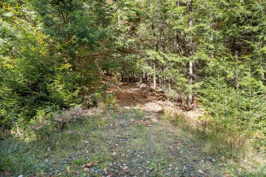 442 VT Route 12 #3, Middlesex, VT 05602 - Image #2