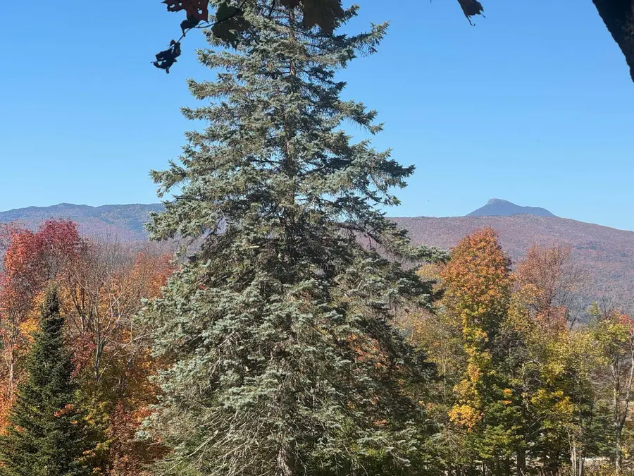 80 Wade Road, Moretown, VT 05660 - Image #2