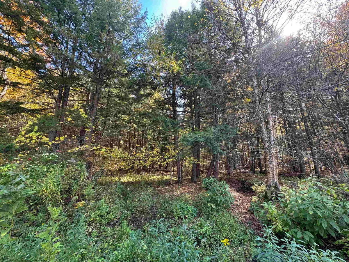 0 Green Hill Lane, Wallingford, VT 05773 - Image #1