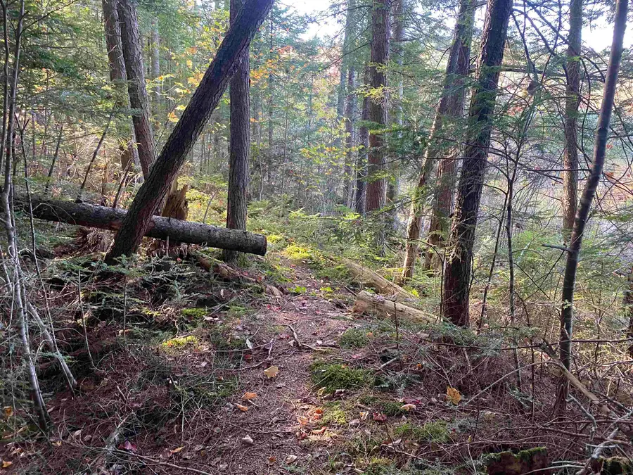 00 Round Pond Lane, Newbury, VT 05051 - Image #2