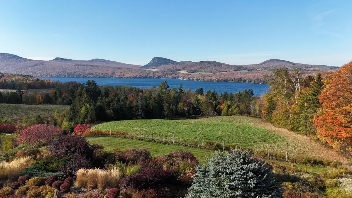 350 Hinton Hill Road, Westmore, VT 05860 - Image #1