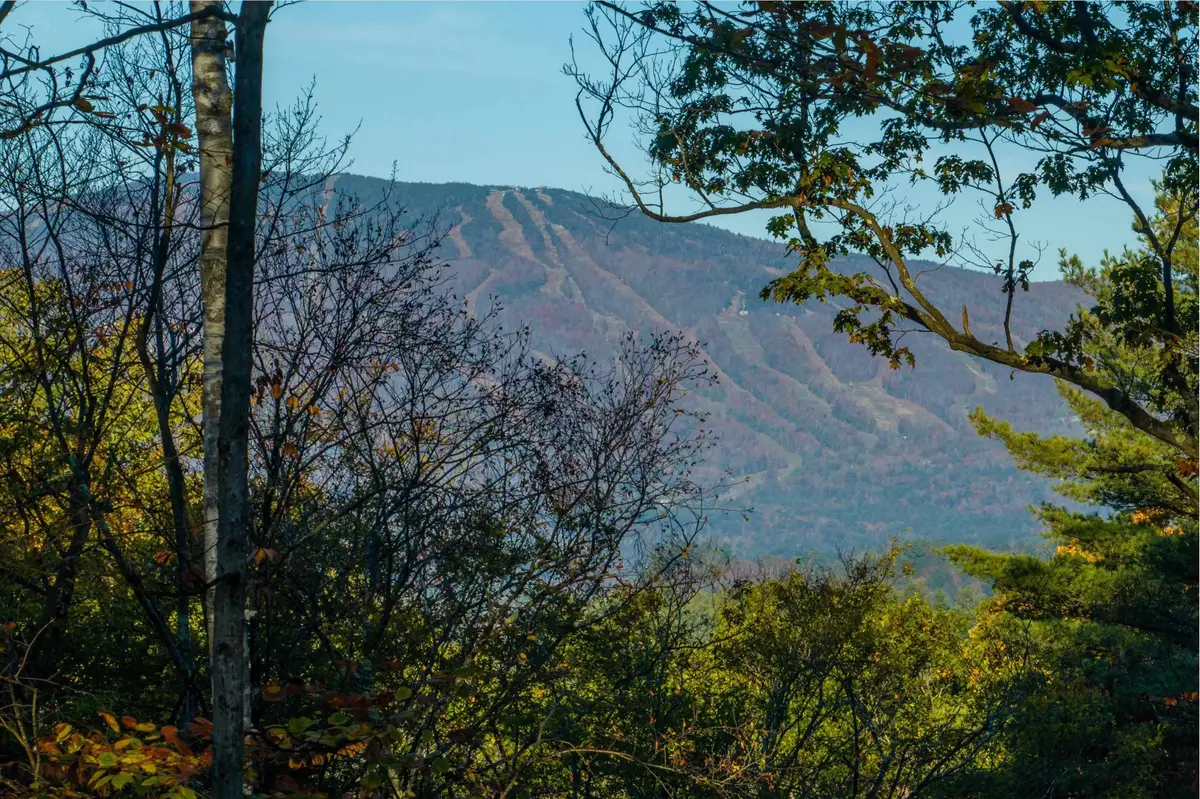 263 High Ridge Road, Cavendish, VT 05142 - Image #1