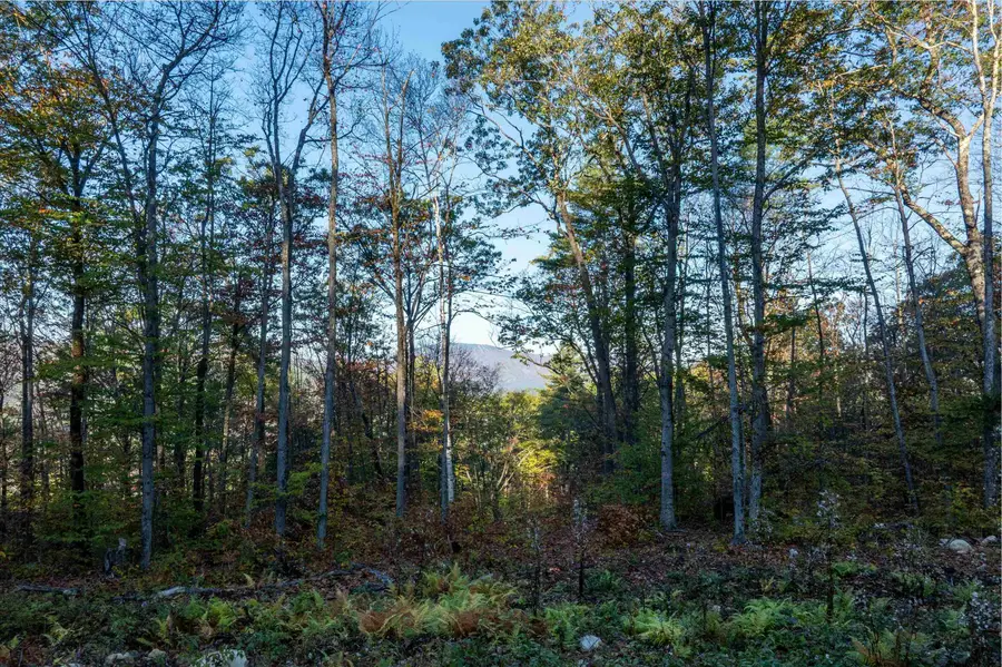 263 High Ridge Road, Cavendish, VT 05142 - Image #3