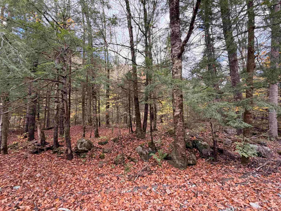 TH 2 Brook Road, Middlesex, VT 05602 - Image #2