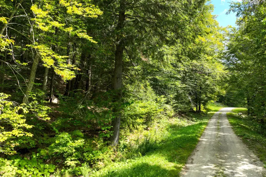 2-66 Goshawk Road, Plymouth, VT 05056 - Image #3