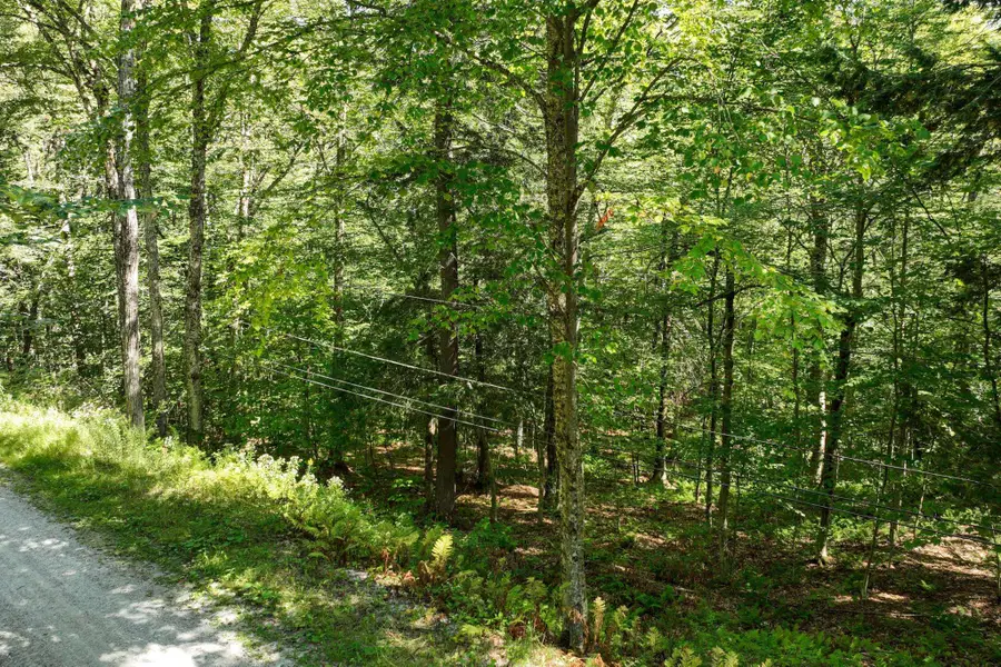 1-61 Hawk Spur Road, Plymouth, VT 05056 - Image #2