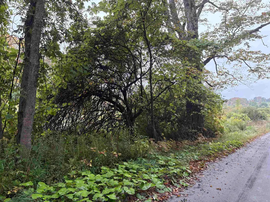 0 West Street, Brookfield, VT 05036 - Image #2