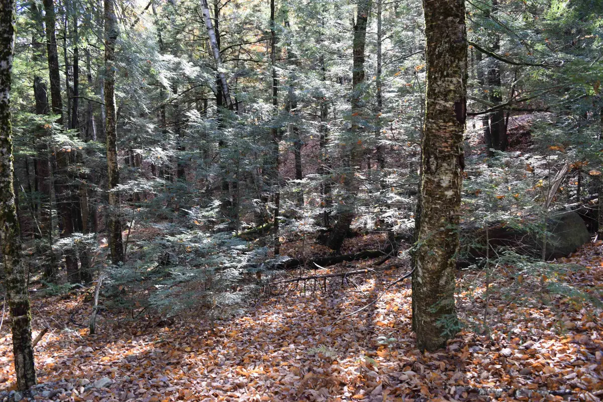 Lot 14 Hanover Drive, Haverhill, NH 03765 - Image #1