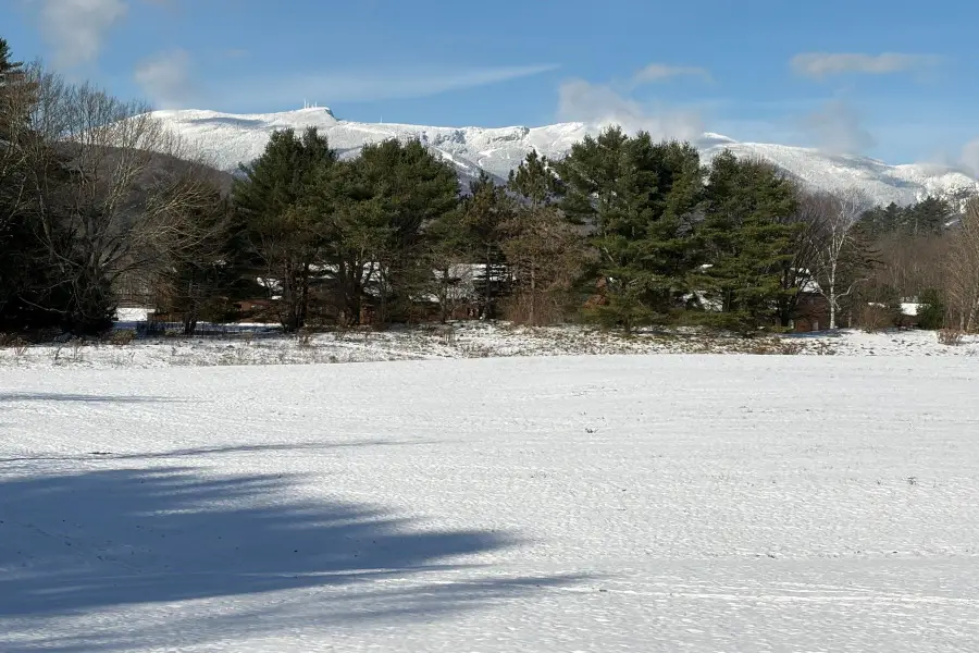 435 Stonybrook Road #29, Stowe Town, VT 05472 - Image #3