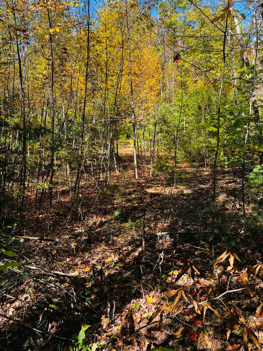 Map 408 Lot 39-1 Bullock Road, Richmond, NH 03446 - #3