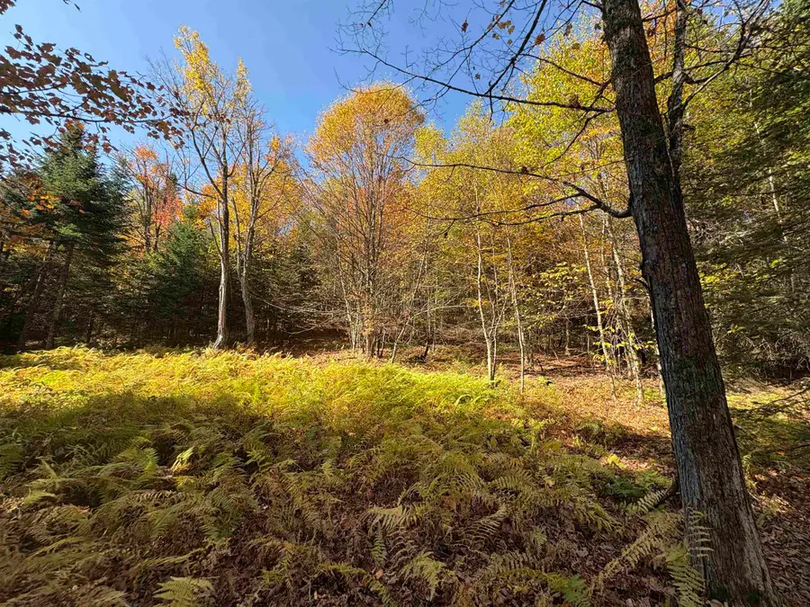 000 Baird Road, Newark, VT 05871 - Image #2