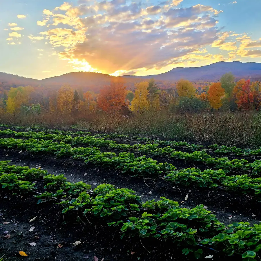 3326 Mud City Loop, Morristown, VT 05661 - Image #2