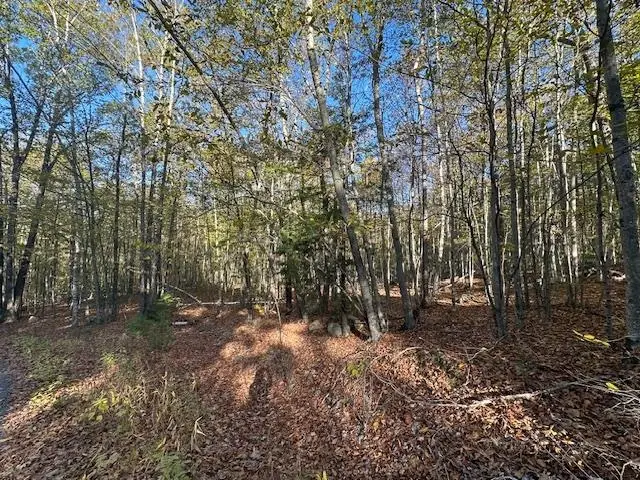 0 Old Walpole Road, Surry, NH 03431 - Image #1