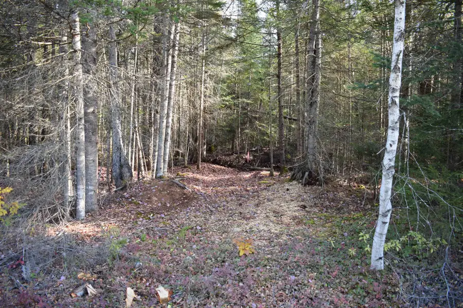 Lot 12 Mirror Lake Estates, Whitefield, NH 03598 - Image #2