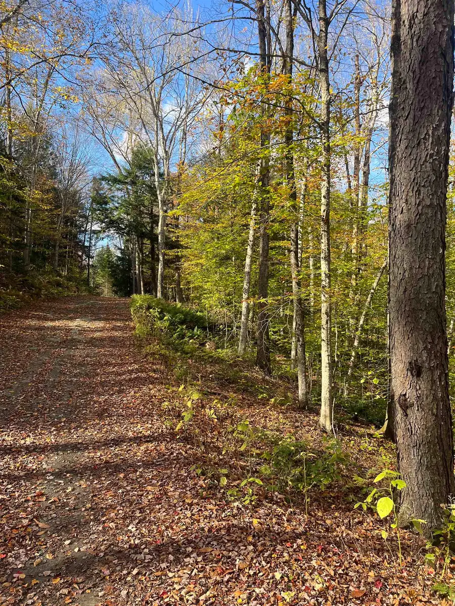 720 Bat Hennessy Road, Moretown, VT 05660 - Image #3