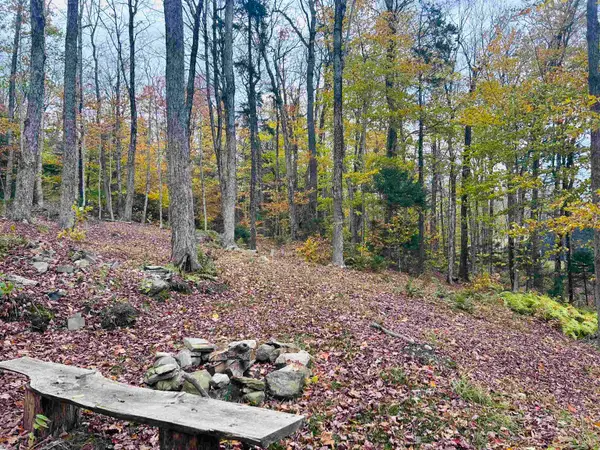 00 Bergrucken Lane #119-120, Readsboro, VT 05350