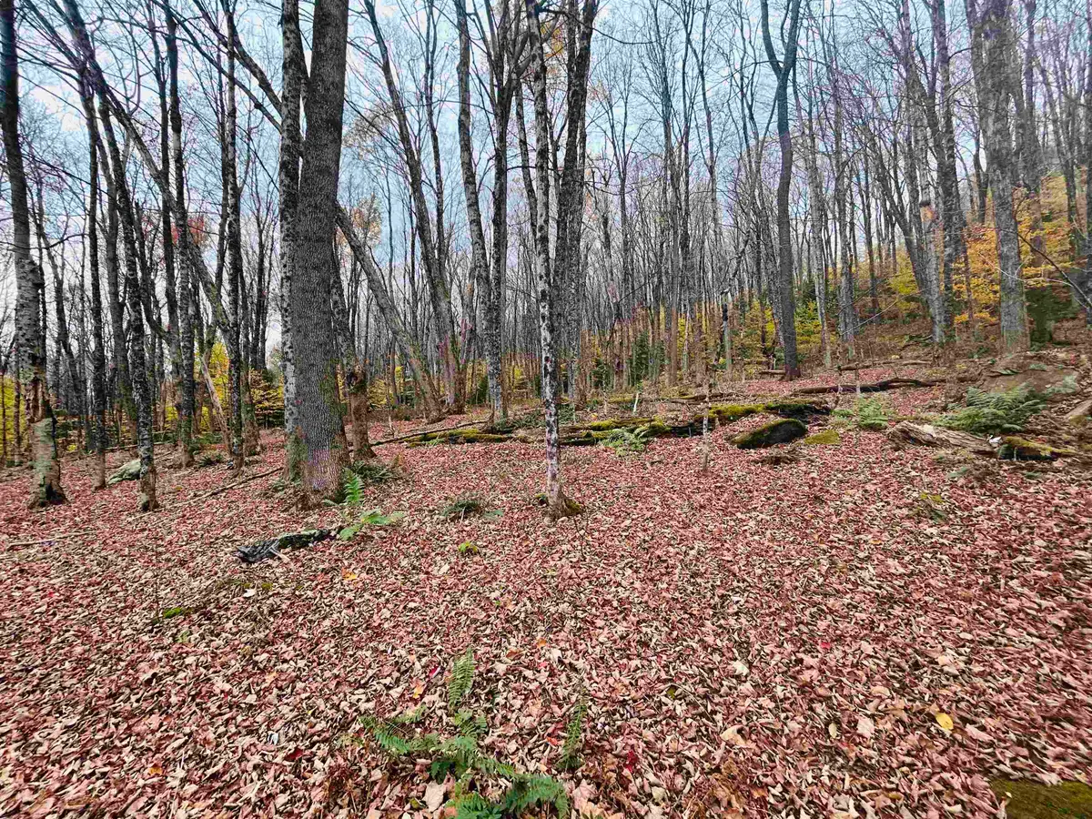 00 Alpendorf Avenue #88, Readsboro, VT 05350 - Image #1