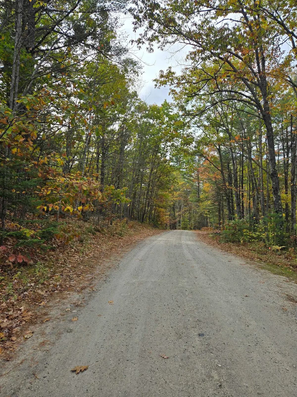 133 Plantation Lane, Brownfield, ME 04010 - Image #1