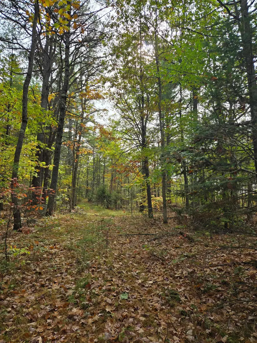 133 Plantation Lane, Brownfield, ME 04010 - Image #2