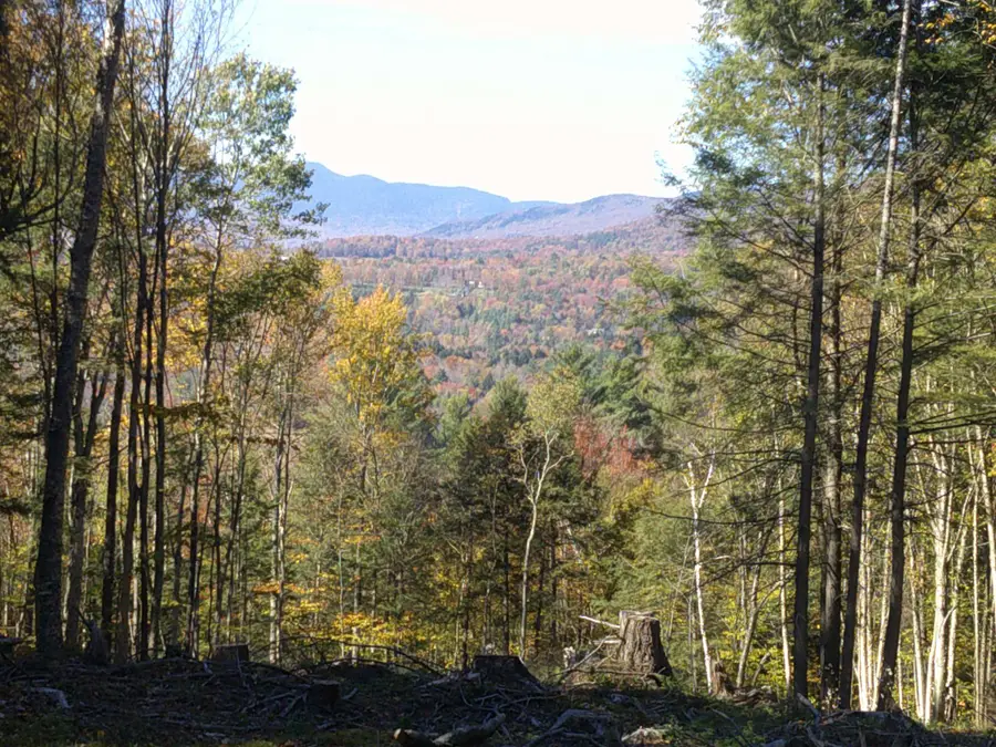 0 Dogwood Springs Road #Lot 3, Stowe, VT 05672 - Image #3