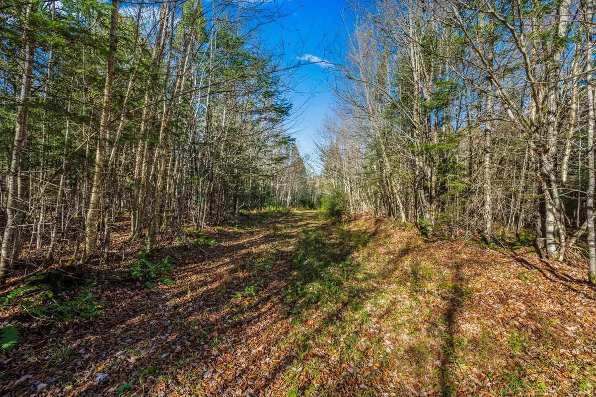 986 Summerhill Road, Walden, VT 05843 - Image #1