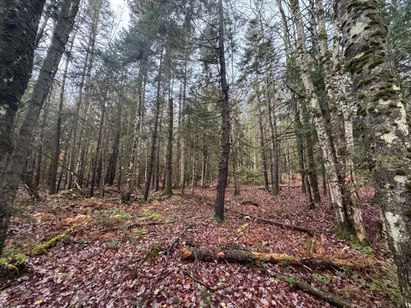 10 Hampshire Hill Road, Worcester, VT 05682