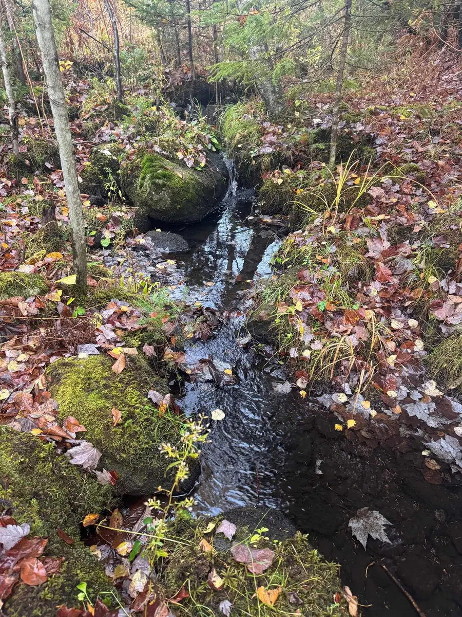 10 Hampshire Hill Road, Worcester, VT 05682 - Image #2