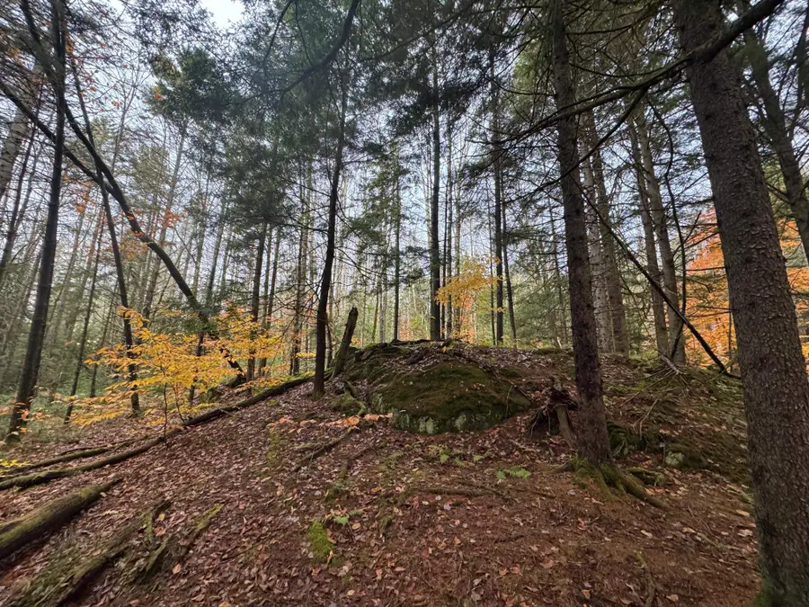 10 Hampshire Hill Road, Worcester, VT 05682 - Image #3