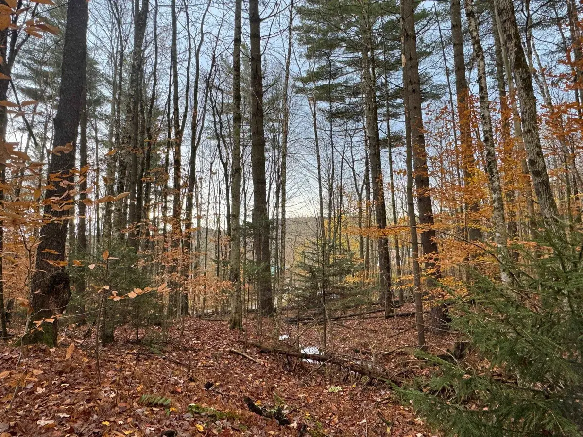 41 E Hampshire Hill Road, Worcester, VT 05682 - Image #1