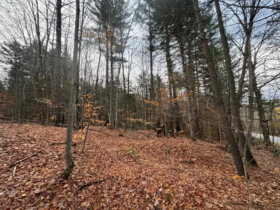 41 E Hampshire Hill Road, Worcester, VT 05682 - Image #2