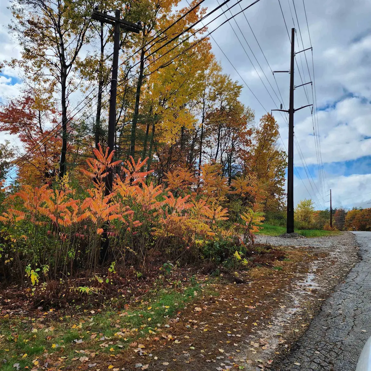 0 Ashuelot Drive, Tilton, NH 03276 - Image #1