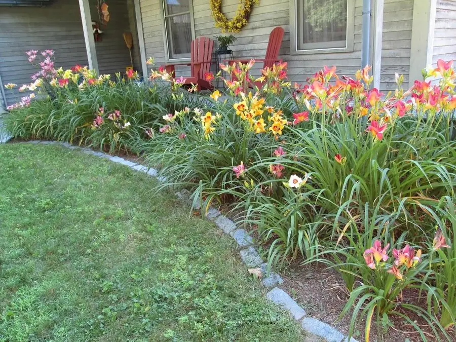 698 NH Rte. 123, Sharon, NH 03458 - #3