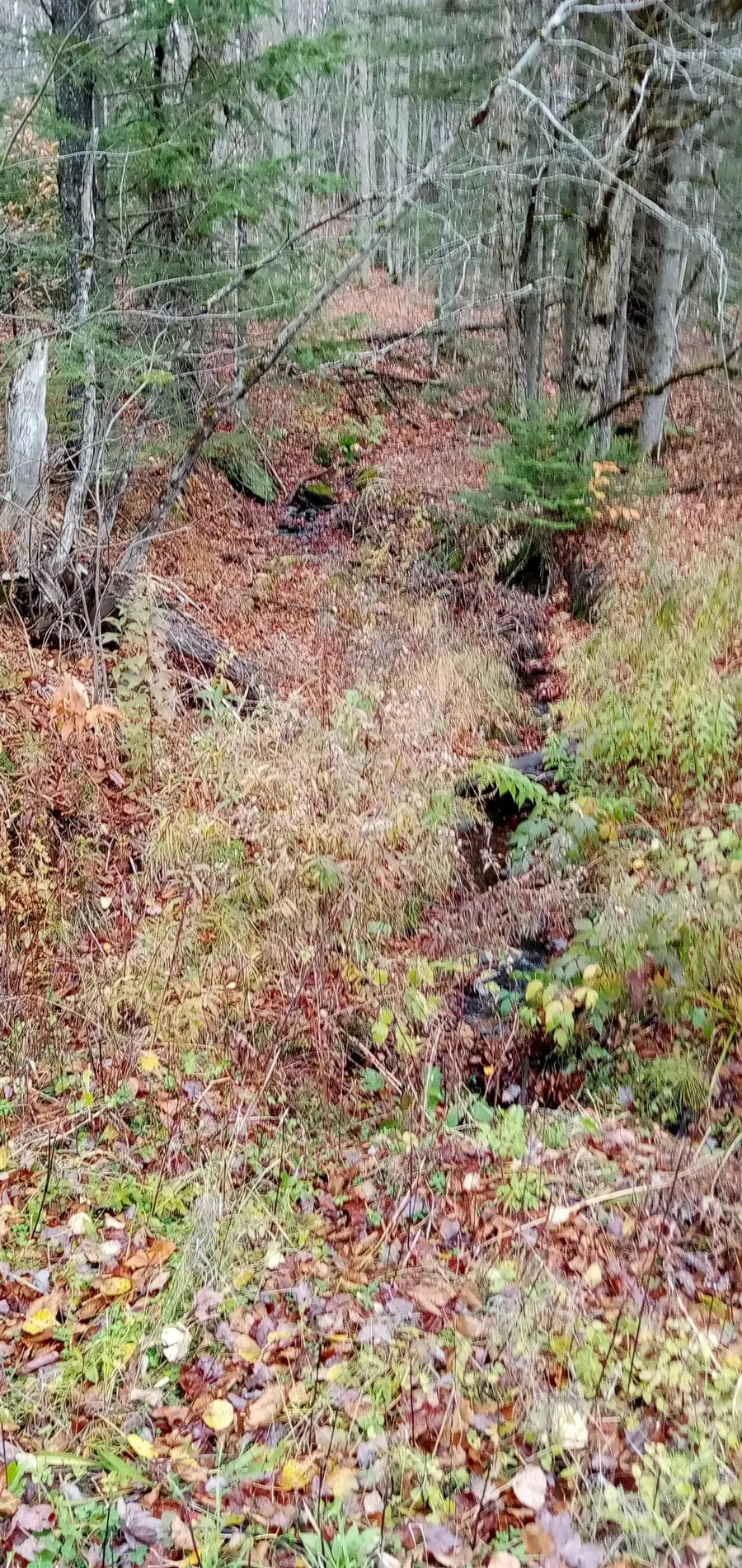 000 Square Road #Lot B, Eden, VT 05653 - Image #2