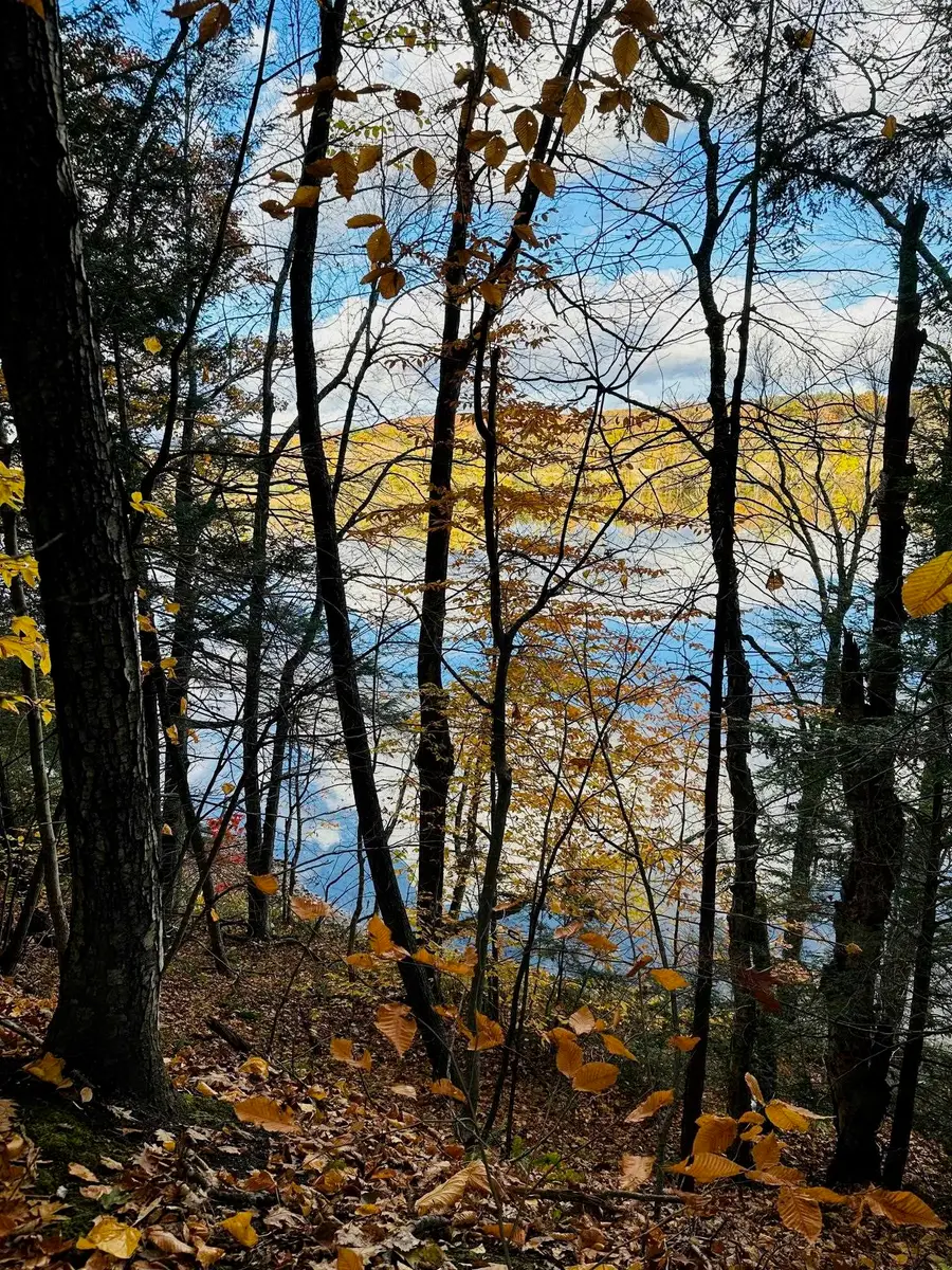 476 Missing Link Road, Springfield, VT 05156 - Image #2