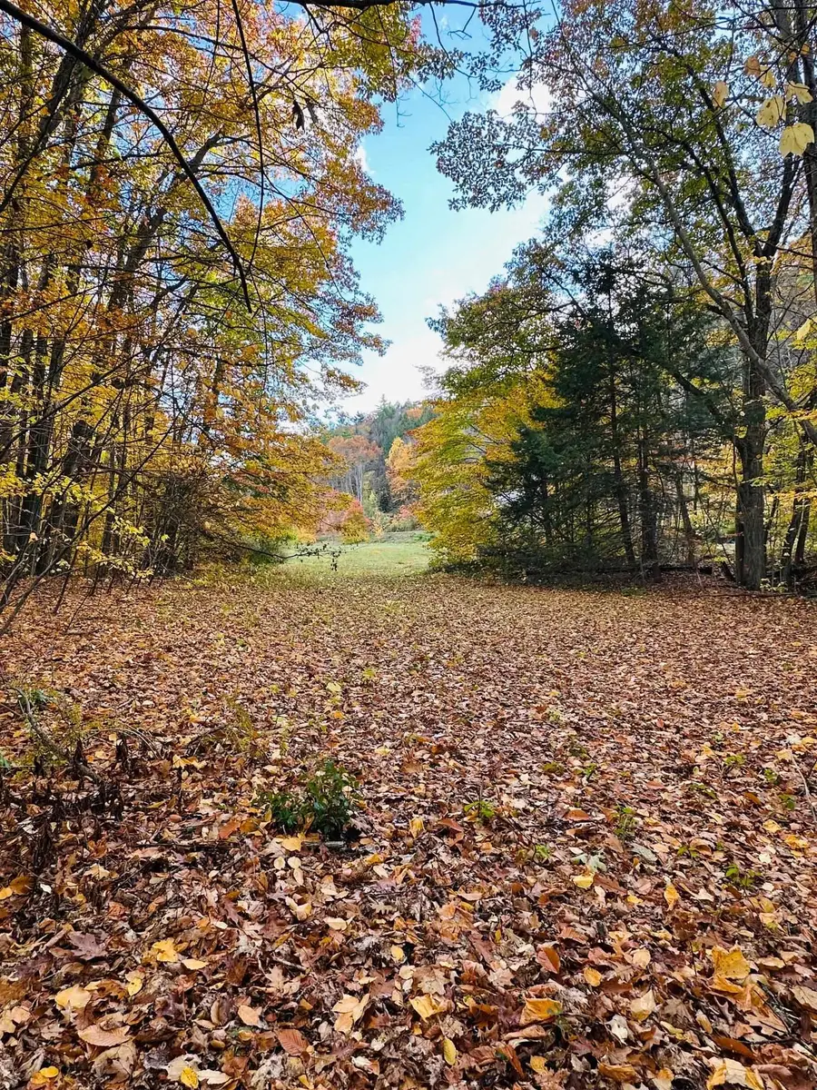 476 Missing Link Road, Springfield, VT 05156 - Image #3