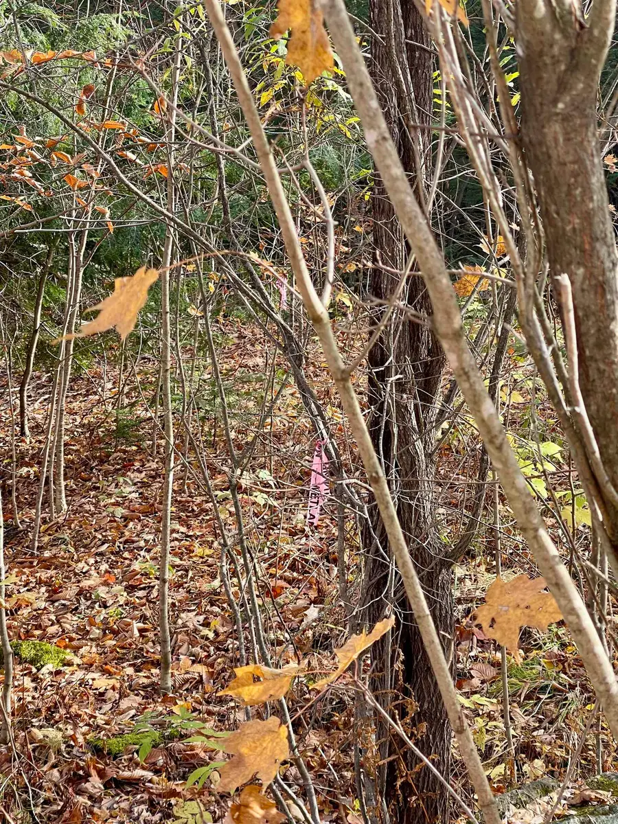 0 Foothills Drive #Lot 20-R, Jay, VT 05859 - Image #2