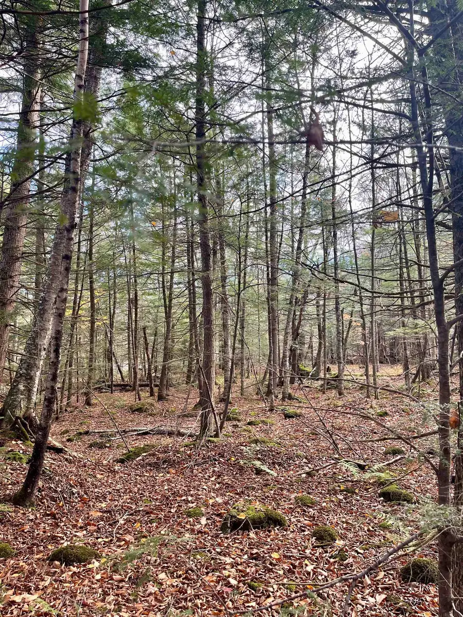 0 Foothills Drive #Lot 20-R, Jay, VT 05859 - Image #3