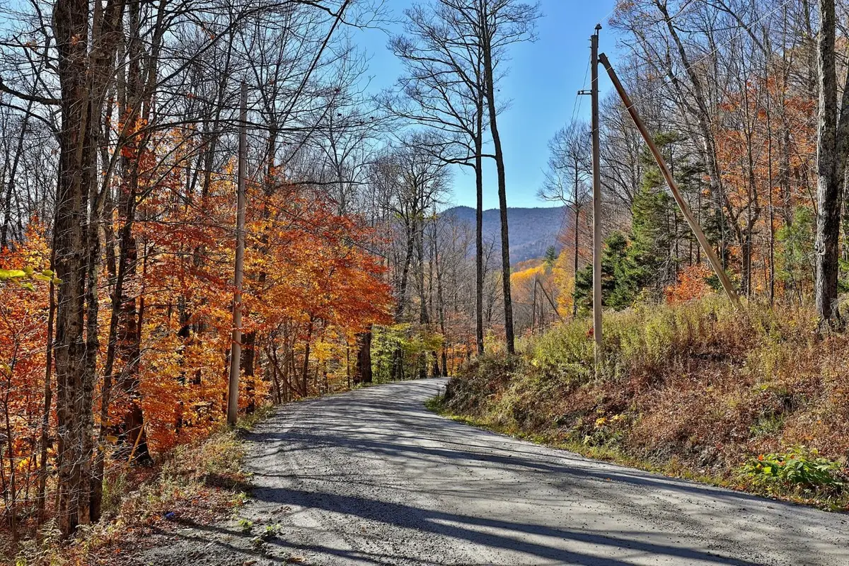 Lot 10 South Hill Road, Stockbridge, VT 05772 - Image #1