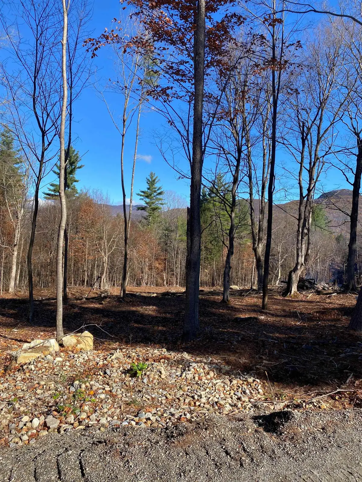 lot A Frost Pond Road, Dorset, VT 05251 - Image #1