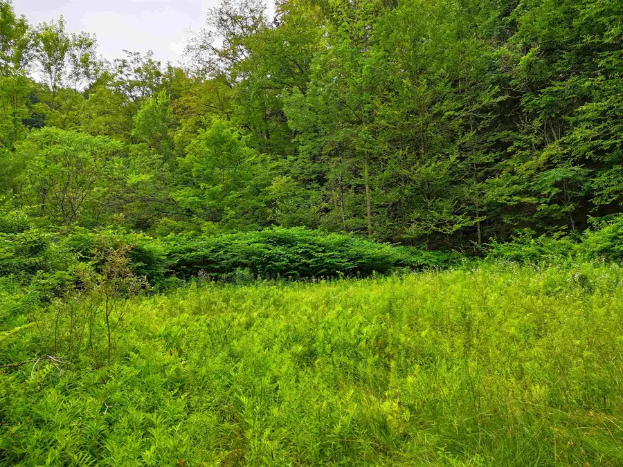 341 Seavers Brook Road, Springfield, VT 05156 - Image #2