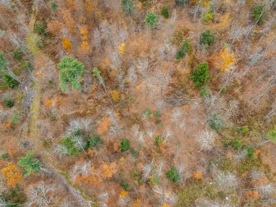 00 Greenville Road #Lot 15-B-5, New Ipswich, NH 03071 - Image #2