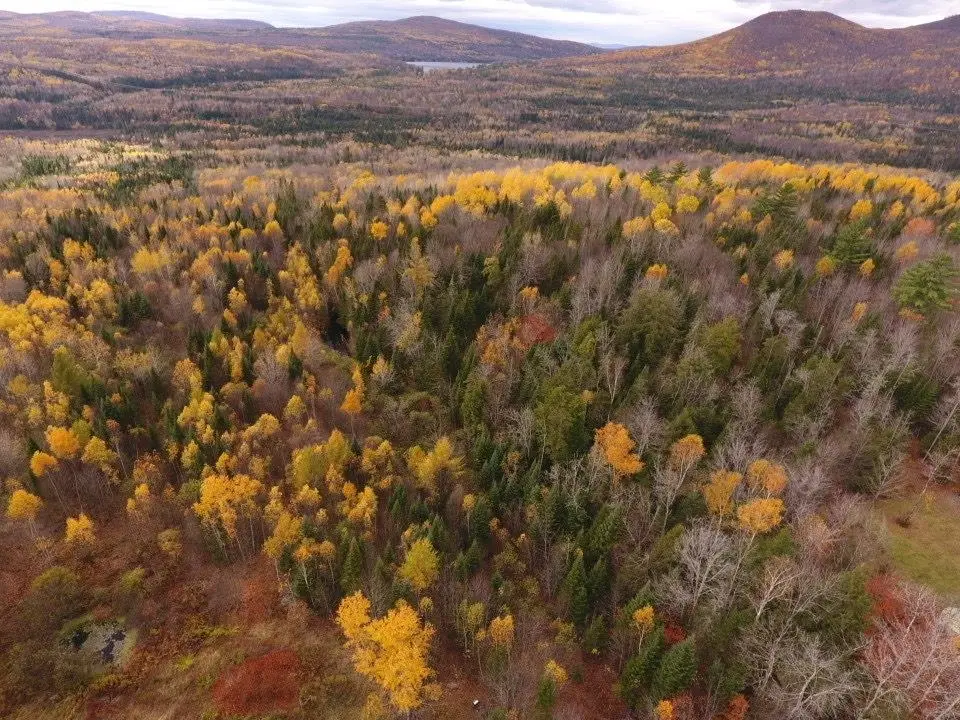 Oregon Road, Concord, VT 05824 - Image #1