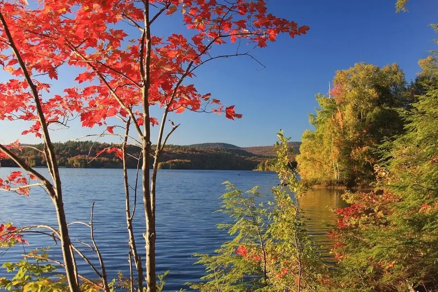 38 Terrace View, Grantham, NH 03753 - Image #3