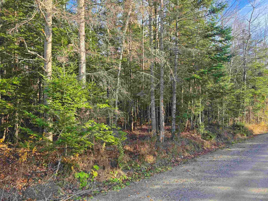 Hawkins Road, Dummer, NH 03588 - Image #2